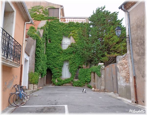 bouzigues-7.JPG