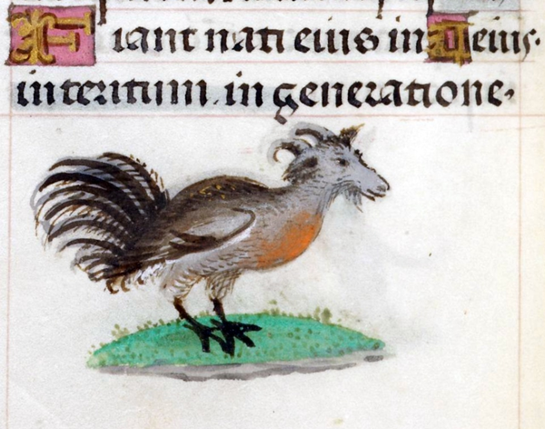 Coq à tête de chèvre.«Heures de Jeanne la Folle», Brug