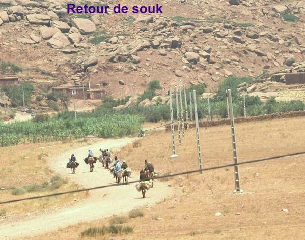 04-copie-1