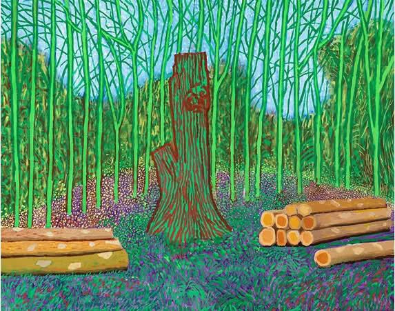 david hockney3hw