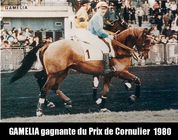 Gamelia-gagnante-du-Prix-de-Cornulier-1980-n0001.jpg