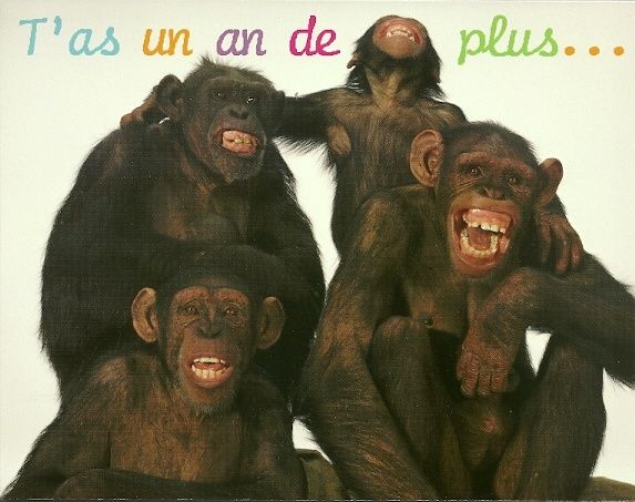 anniversaire.jpg
