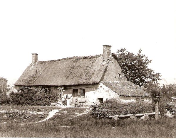 Habitat 01