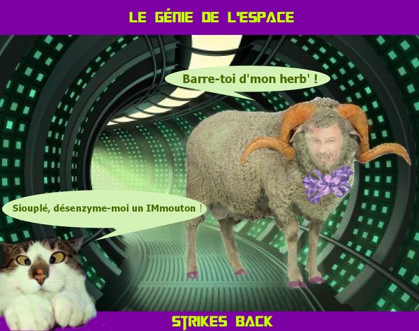 505le-genie-de-lespace-copie-1.jpg