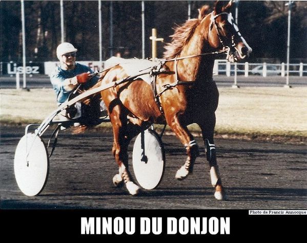 Minou-du-Donjon-numerisation0024.jpg