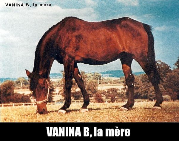 Vanina-B-n0001.jpg