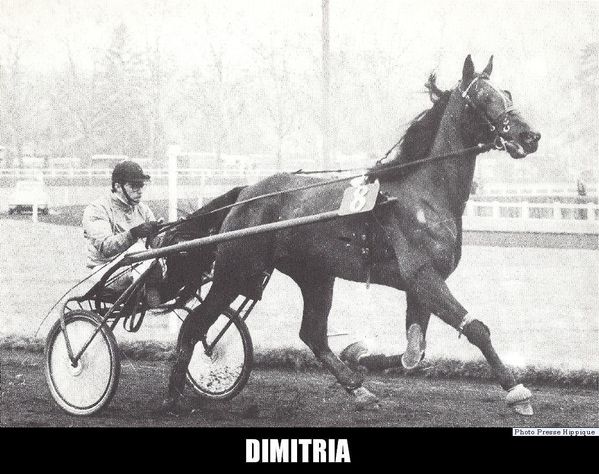 Dimitria