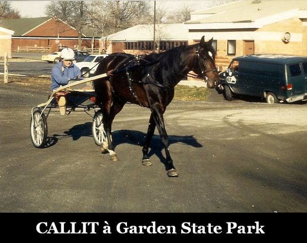 Callit-a-Garden-State-Park-0001.jpg