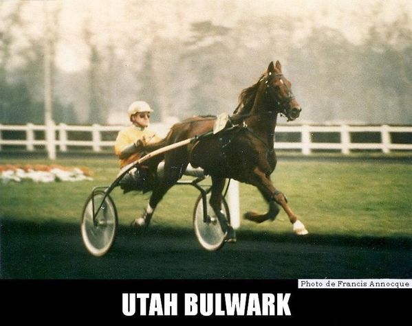 Utah-Bulwark-numerisation0024.jpg