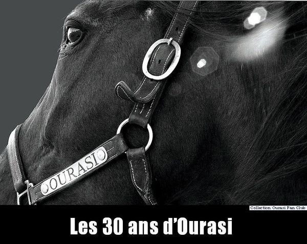 Ourasi.-Les-30-ans-d-Ourasi-06.jpg