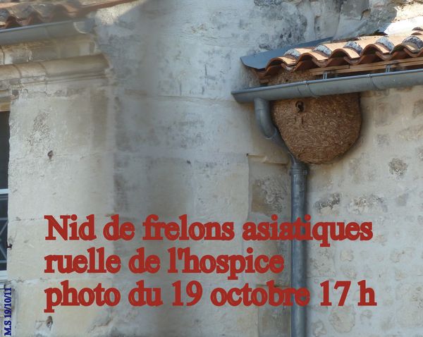 19-10-11-016.jpg