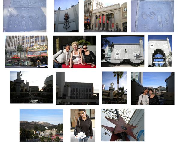 Hollywood bvd2