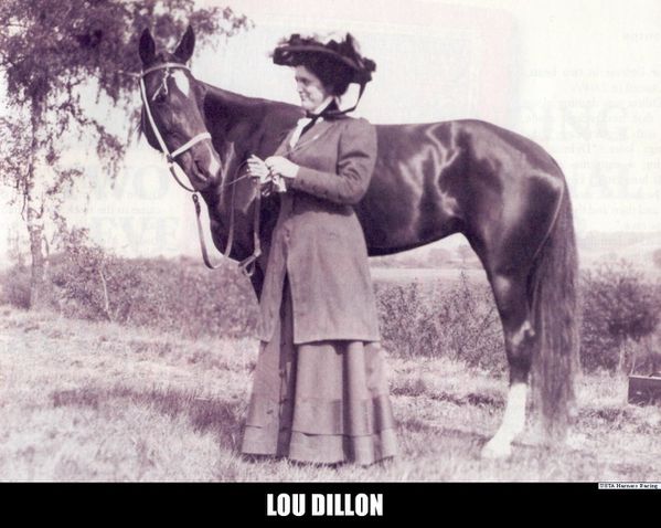 Lou-Dillon--2--copie-1.jpg