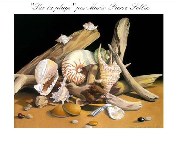 Marie-Pierre-Le-Sellin-Sur-la-plage.jpg