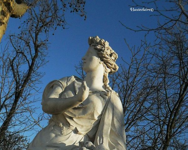 cheveux-de-statue.jpg