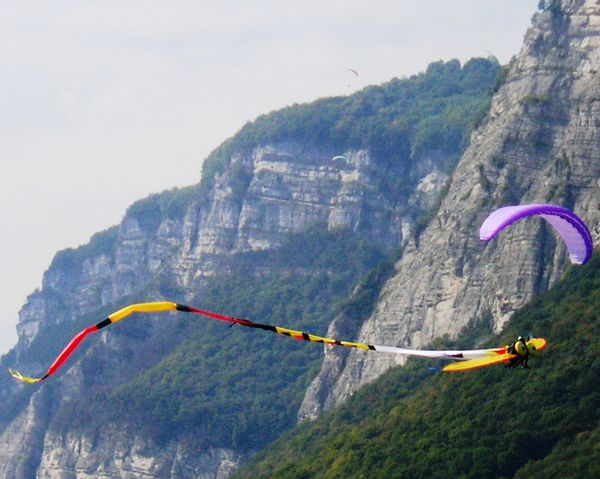 coupe Icare agnes 2 077