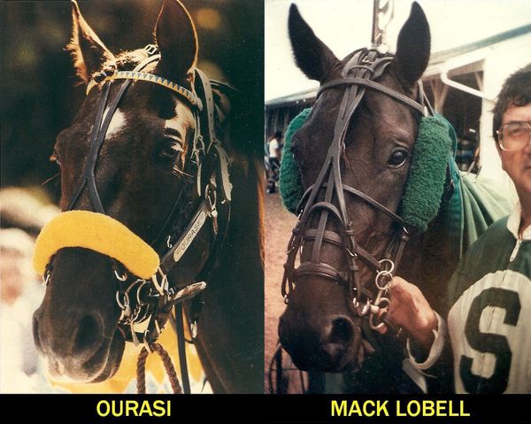Ourasi, Mack Lobell 005
