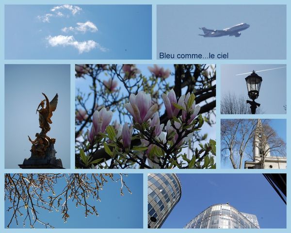 2010-04-108.jpg