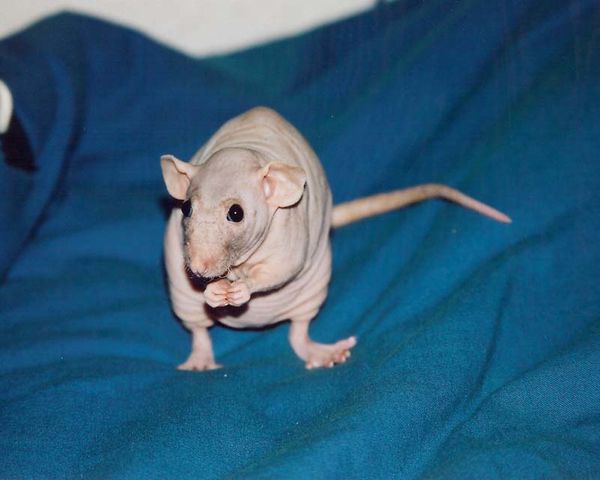 penelope-5.jpg
