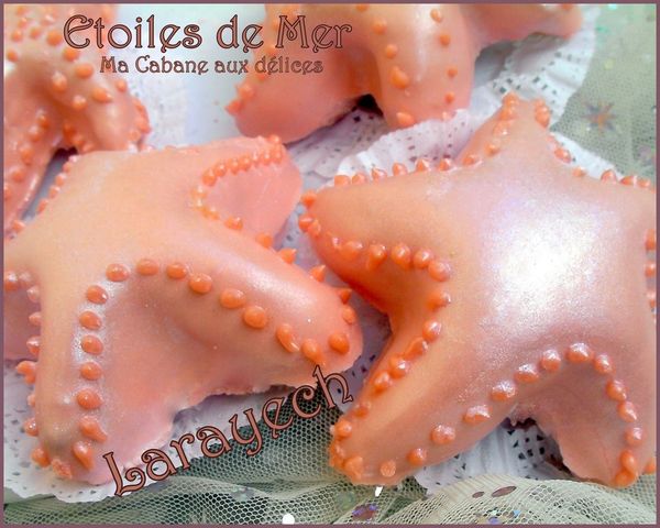 Larayech-etoiles-de-mer-photo-4.jpg