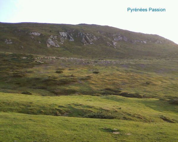 ( 0)Photos-0011