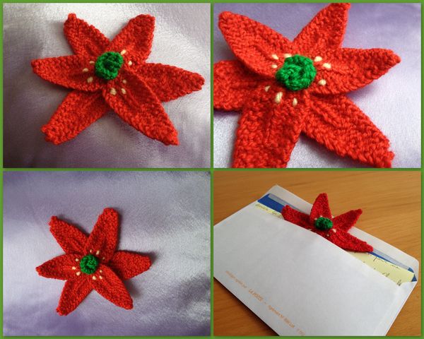 12-04-25-poinsettia.jpg