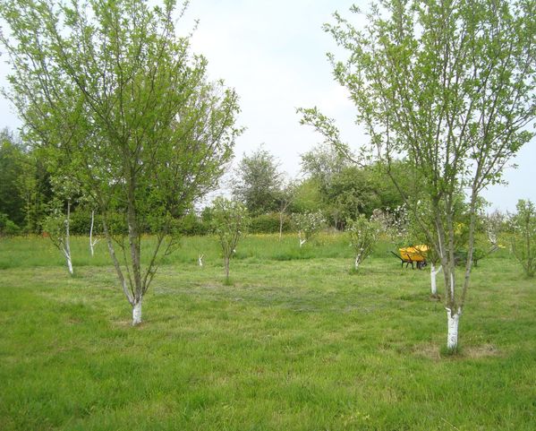 DSC05894