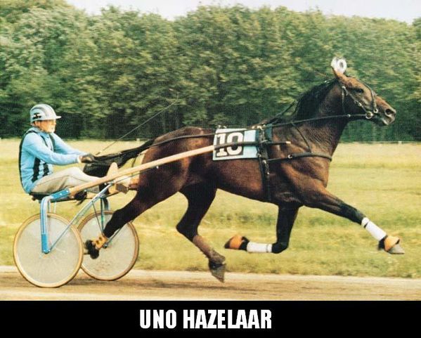 Uno-Hazelaar.jpg