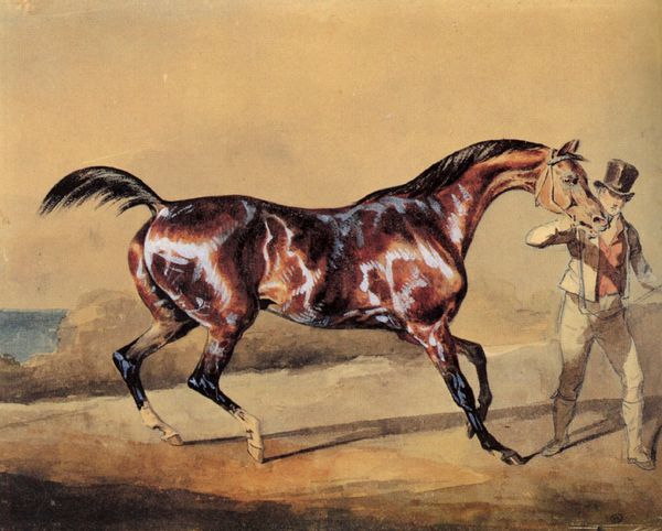 gericault chevaux (4)