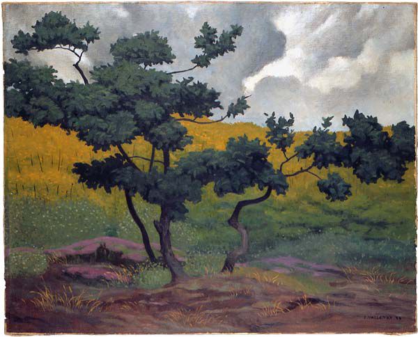 Valloton-Paysage