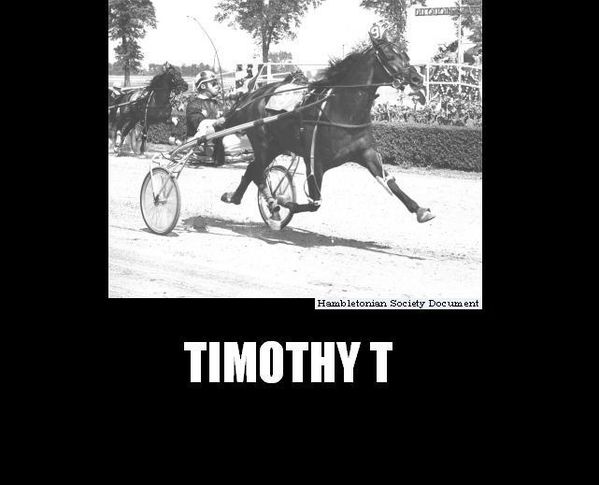 Timothy-T---John-Simpson-Junior.jpg