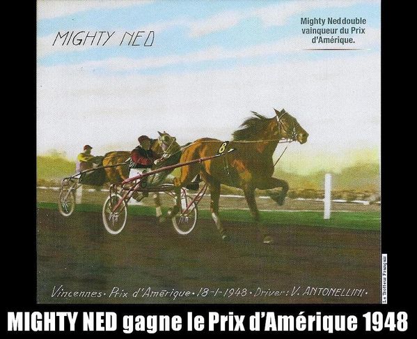 Mighty-Ned-gagne-le-Prix-d-Amerique-0007.JPG