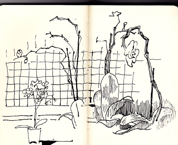 sketch4.jpg