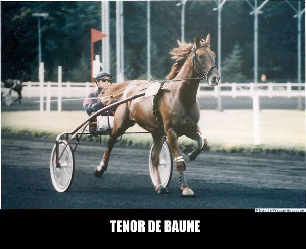Tenor-de-Baune-00.jpg
