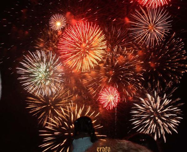 feu-d-artifice-2010-040.jpg