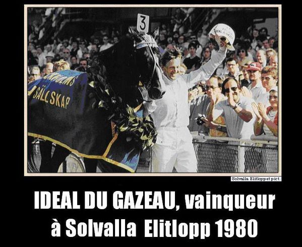 Ideal du Gazeau, vainqueur à Solvalla Elitlopp 1980