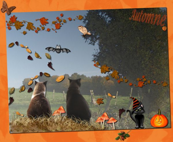 automne-2010-1.jpg