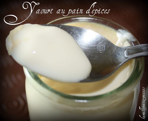 yaourt au pain d'épices 3