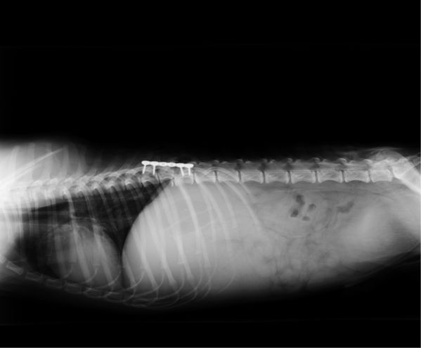 pipost-operacion2.jpg
