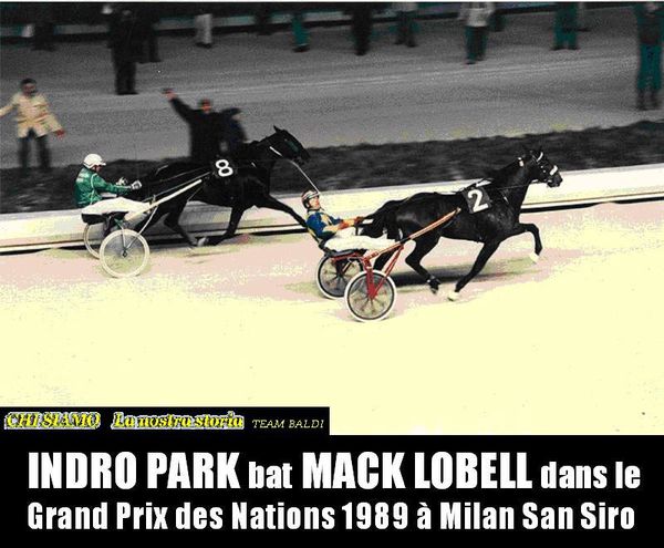 Indro-Park-bat-Mack-Lobelle-dans-le-Grand-Prix-des-copie-1.JPG