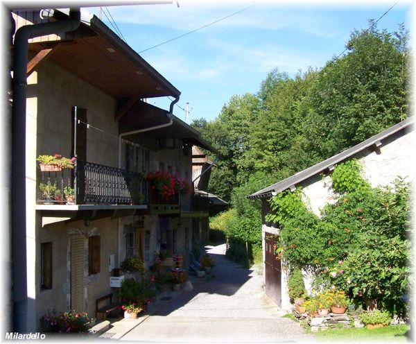 miolans-LE-VIEUX-BOURG.jpg