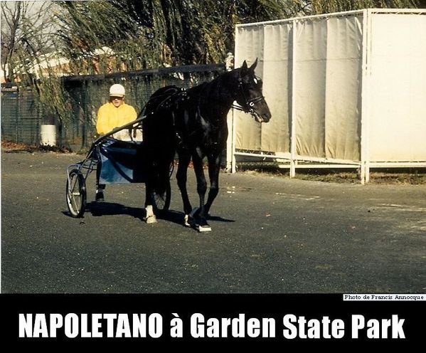 Napoletano-a-Garden-State-Park.jpg