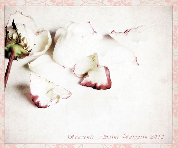 st-valentin-2012-600.jpg