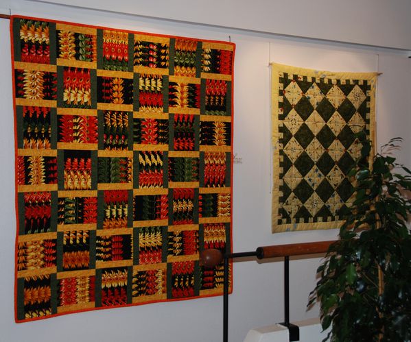 exposition-Epinal-2012 0973