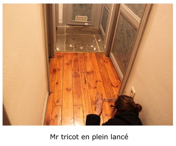 mr tricot