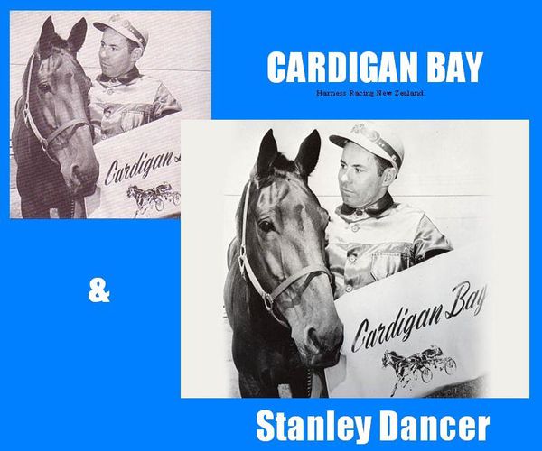 Cardigan Bay Stanley Dancer