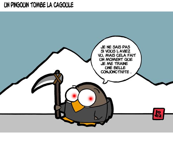 un-pingouin-tombe-la-cagoule.jpg