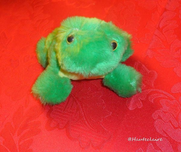 grenouille-4.jpg