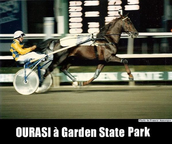 Ourasi--March-of-Dimes-Trot--Garden-State-Park.jpg