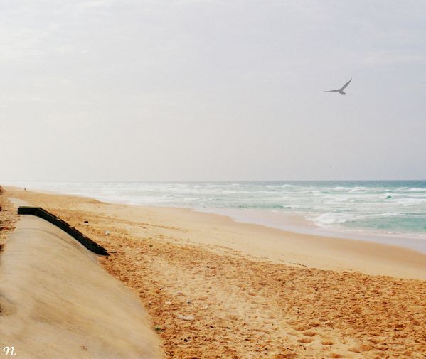 malika-beach.jpg